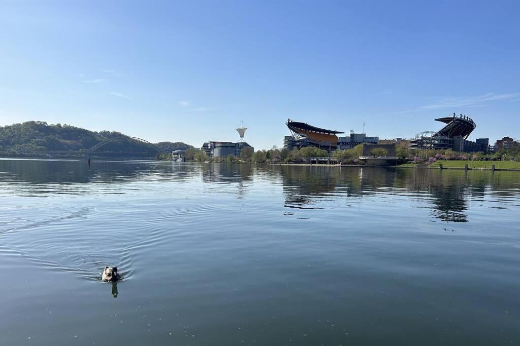 Apartment Sprawling Stadium Views Wonderful Location 24-7 Parking Gym Lounge